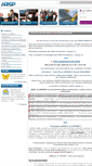 Mobile Screenshot of apasp.profileo.com